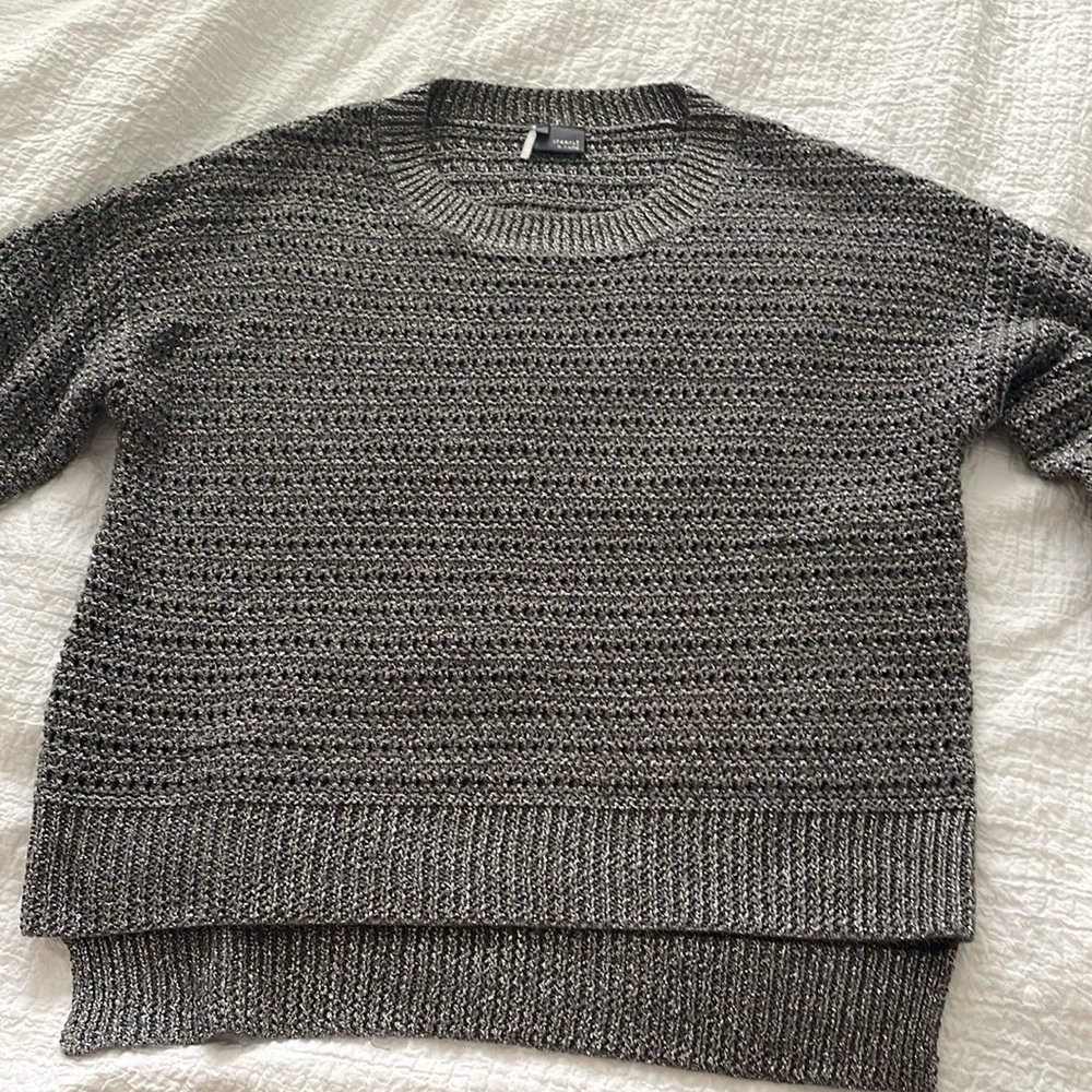 Sparkle & Fade silver sweater